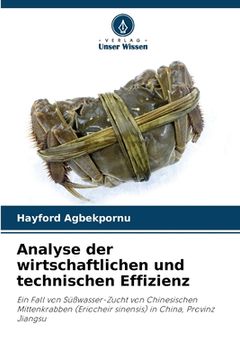 portada Analyse der wirtschaftlichen und technischen Effizienz (in German)