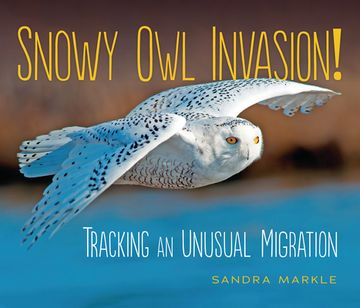 portada Snowy owl Invasion! Tracking an Unusual Migration (Sandra Markle'S Science Discoveries) (en Inglés)