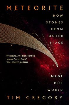 portada Meteorite: How Stones From Outer Space Made our World 