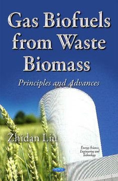portada Gas Biofuels From Waste Biomass: Principles and Advances (Energy Science, Engineering and Technology)