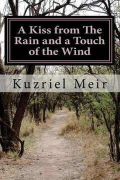 portada a kiss from the rain and a touch of the wind