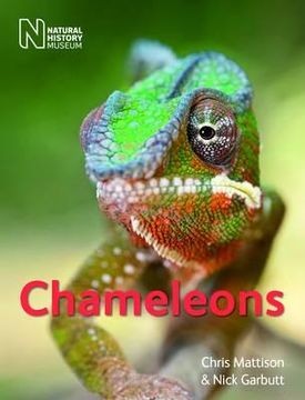 portada chameleons. christopher mattison and nick garbutt (en Inglés)