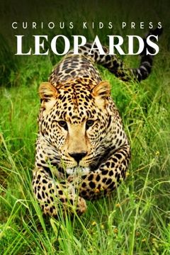 portada Leopards - Curious Kids Press
