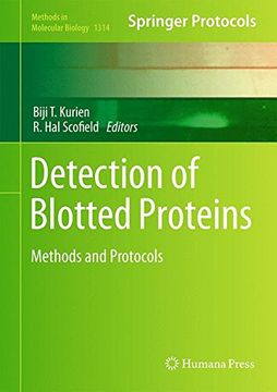 portada Detection of Blotted Proteins: Methods and Protocols (Methods in Molecular Biology)