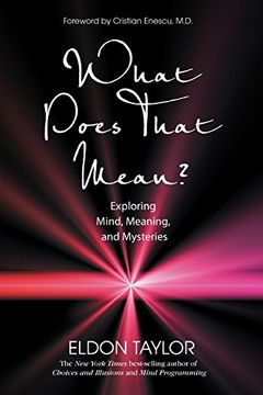 portada What Does That Mean? Exploring Mind, Meaning, and Mysteries (en Inglés)