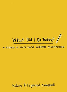 portada What did i do Today? A Record of Stuff You'Ve Already Accomplished (in English)