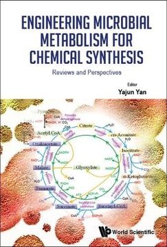 portada Engineering Microbial Metabolism for Chemical Synthesis: Reviews and Perspectives (Biochemistry Biological Chemis) (en Inglés)