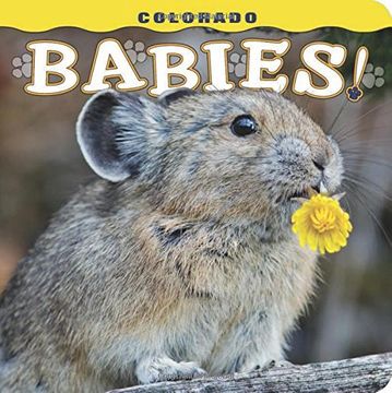 portada Colorado Babies! (en Inglés)