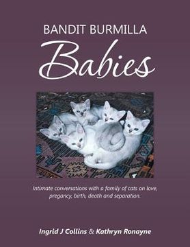portada Bandit Burmilla Babies: Intimate conversations with a family of cats on love, pregancy, birth, death and separation. (en Inglés)