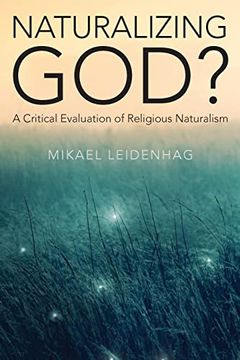 portada Naturalizing God? A Critical Evaluation of Religious Naturalism (en Inglés)
