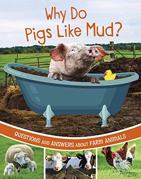 portada Why do Pigs Like Mud? (in English)