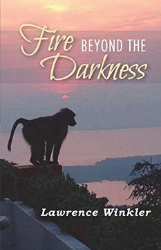 portada Fire Beyond the Darkness: A Metaphysical Journey (en Inglés)