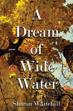 portada A Dream of Wide Water (en Inglés)