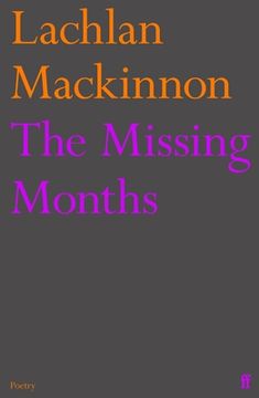 portada The Missing Months (en Inglés)