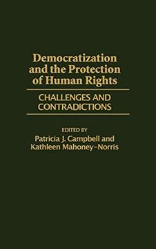 portada Democratization and the Protection of Human Rights: Challenges and Contradictions (en Inglés)