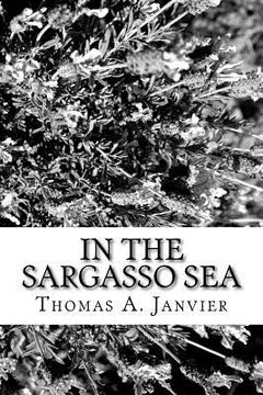 portada In the Sargasso Sea