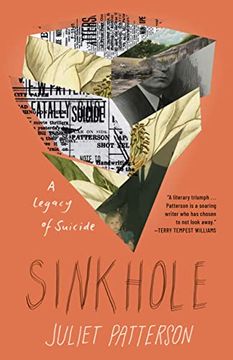 portada Sinkhole: A Legacy of Suicide (en Inglés)