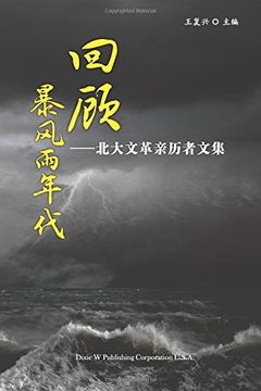 portada Retrospect of Stormy Days (Chinese Edition)