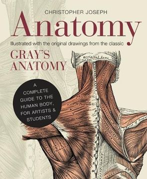 portada Anatomy: A Complete Guide To The Human Body, For Artists & Students (en Inglés)