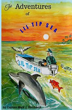 portada The Adventures of lil tip Sea: Hurricane Irma (en Inglés)