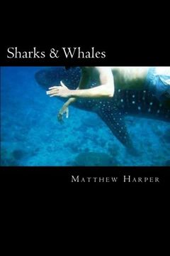 portada Sharks & Whales: A Fascinating Book Containing Shark & Whale Facts, Trivia, Images & Memory Recall Quiz: Suitable for Adults & Children (Matthew Harper)