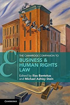 portada The Cambridge Companion to Business & Human Rights law (Cambridge Companions to Law) (en Inglés)
