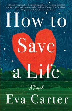 portada How to Save a Life (en Inglés)