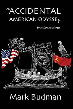 portada An Accidental American Odyssey (en Inglés)