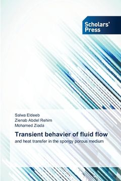 portada Transient behavier of fluid flow (en Inglés)