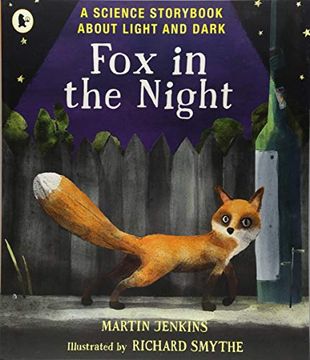 portada Fox in the Night: A Science Storybook About Light and Dark (Paperback) (in English)