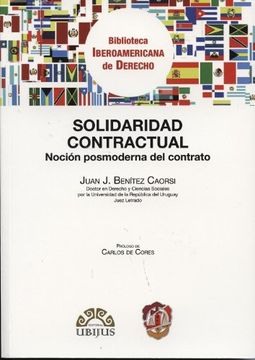 portada Solidaridad Contractual Nocion Posmoderna Del Contrato