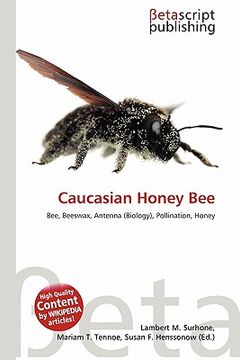 caucasian honey bee