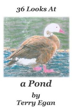 portada 36 Looks At a Pond (en Inglés)