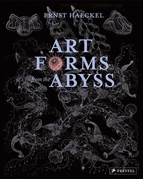 portada Art Forms From the Abyss 
