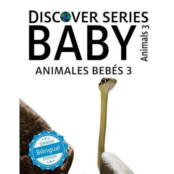 portada Animales Bebes 3/ Baby Animals 3 (en Inglés)