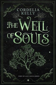 portada The Well of Souls (en Inglés)