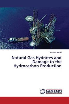 portada Natural Gas Hydrates and Damage to the Hydrocarbon Production