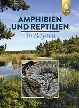 portada Amphibien und Reptilien in Bayern (en Alemán)