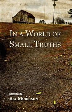 portada in a world of small truths (en Inglés)