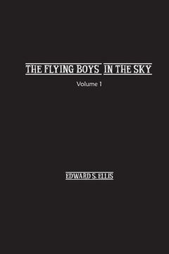portada The Fly Boys in the Sky (en Inglés)