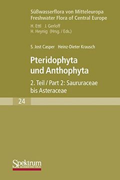 portada Süßwasserflora von Mitteleuropa: Pteridophyta und Anthophyta Teil 2 (Süßwasserflora von Mitteleuropa, 24 (en Alemán)