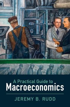 portada A Practical Guide to Macroeconomics (in English)