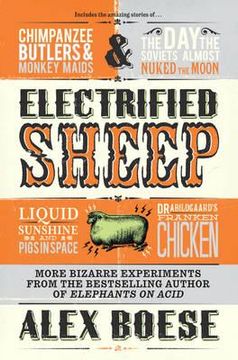 portada electrified sheep