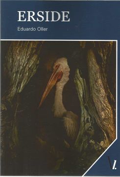 portada Erside