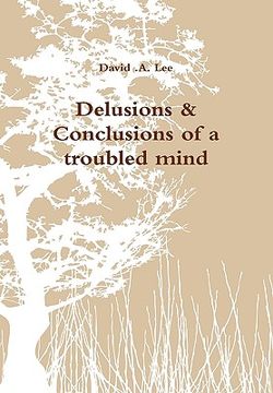 portada delusions & conclusions of a troubled mind (en Inglés)