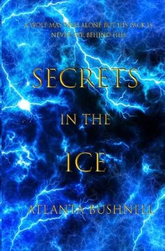 portada Secrets in the Ice (in English)