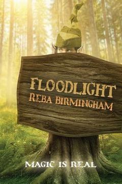 portada Floodlight: Book One in the Hercynian Forest Series