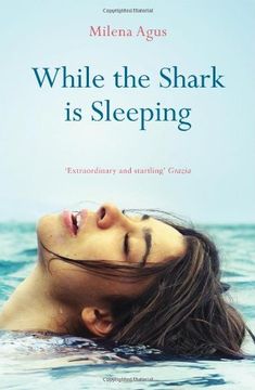portada While the Shark is Sleeping