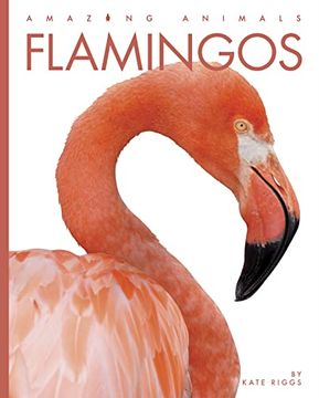portada Flamingos (Amazing Animals) (in English)