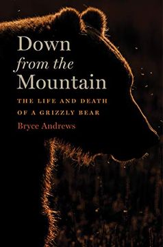 portada Down From the Mountain: The Life and Death of a Grizzly Bear 